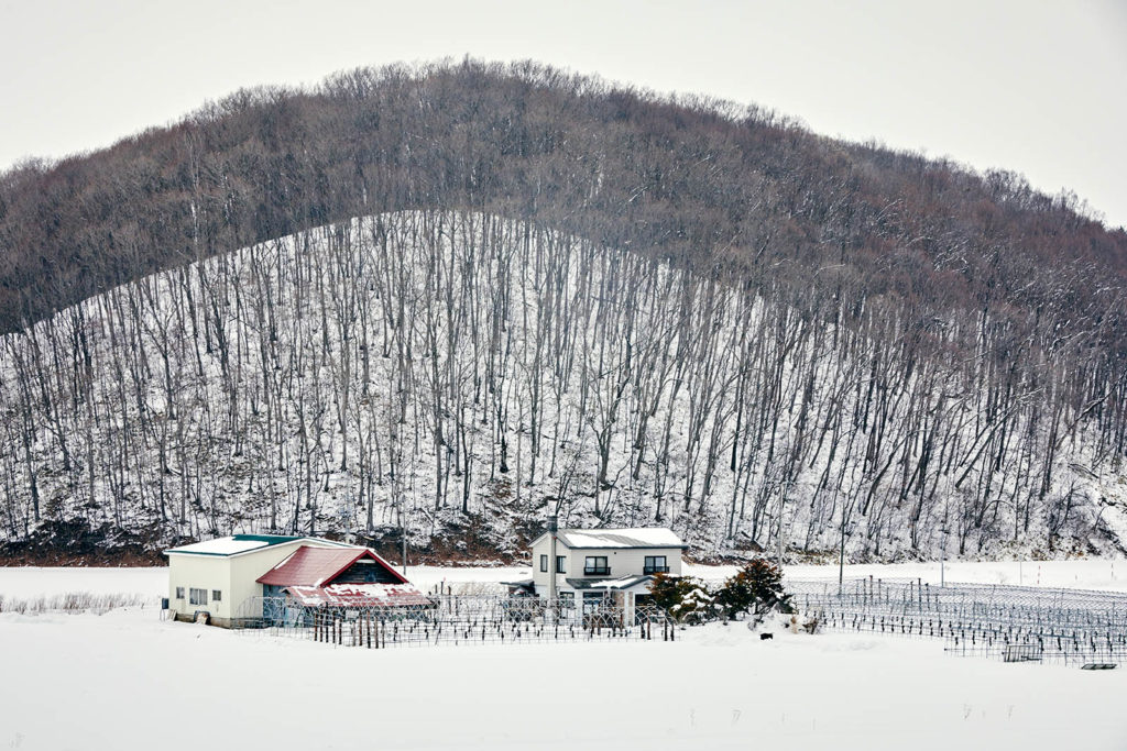 Farm nestled within a forest on the outskirts of Higashikawa.