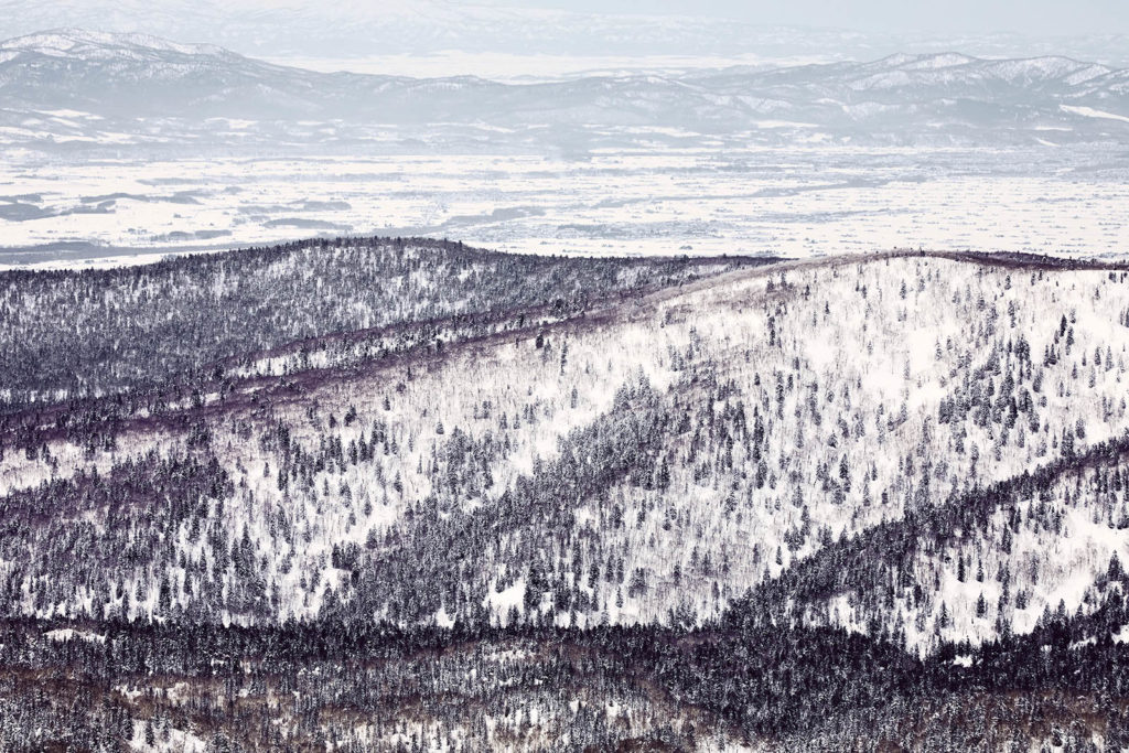 An arial view of snowy forests on a mountain
