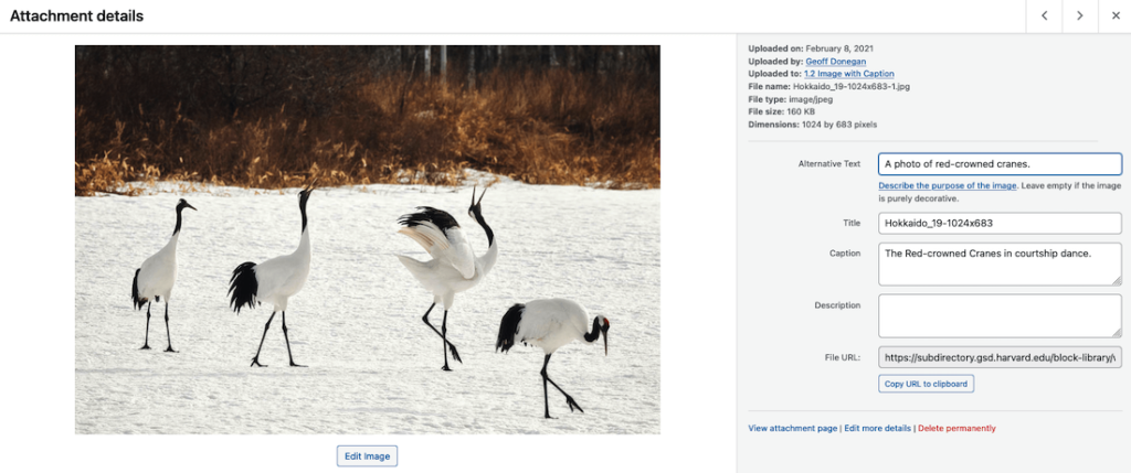 Screenshot of a file that has been selected in the Media Library. A photo of four cranes is on the left, while file information such as the file name, alt text, and URL is on the right.